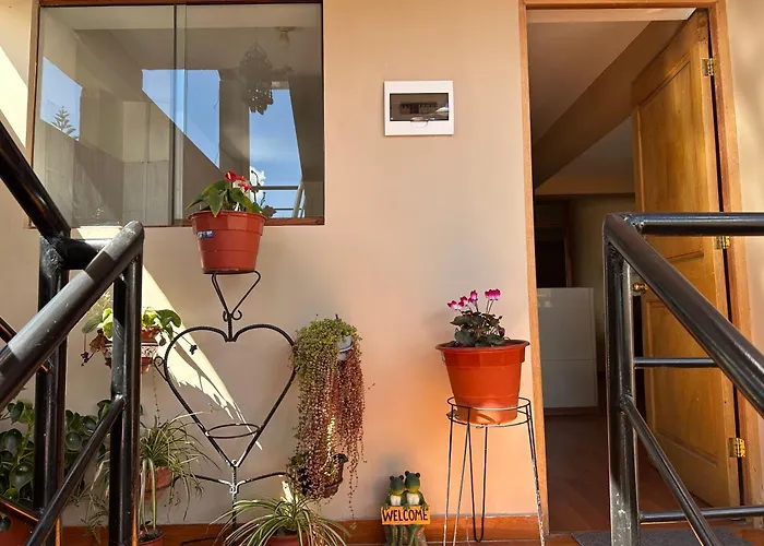 Apartment Comercio *