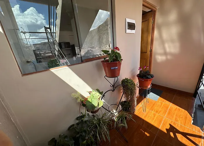Apartment Comercio